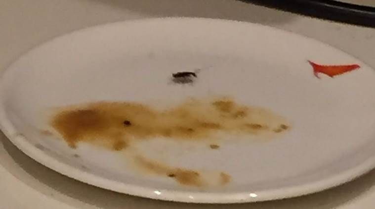Letalska družba se opravičuje, da je ščurka v hrani v VIP salonu Air India