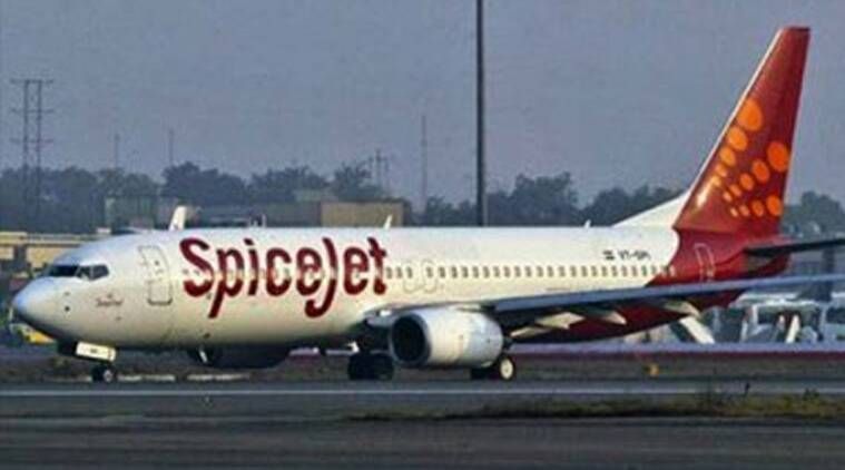 Venta del undécimo aniversario de Spicejet: billetes de avión a partir de 511 rupias