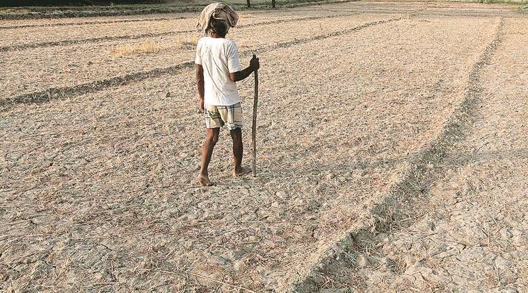 L'allocation budgétaire pour le bien-être agraire est une trahison totale pour les agriculteurs: Kisan Sabha