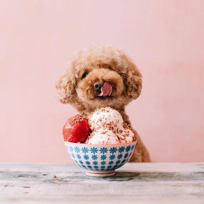 8 zdravih Instagram sladokuscev, s katerimi smo obsedeni