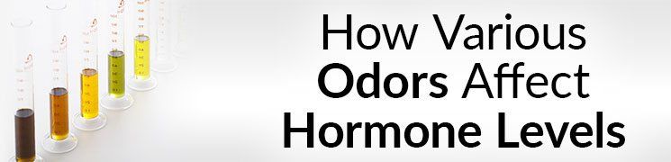 Vpliv vonja na hormone | Kako različni vonji vplivajo na raven hormonov