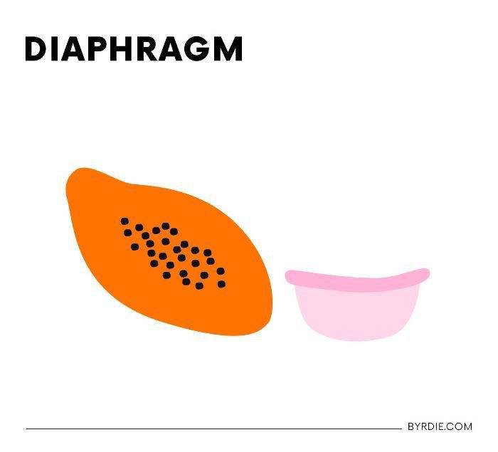 파파야와 다이어프램의 그림