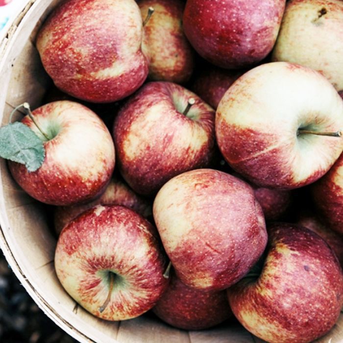 Ali so jabolka zdrava?