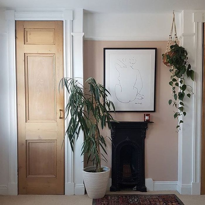 Hohe Pflanze und eine hängende Pflanze in einem minimalen Zuhause