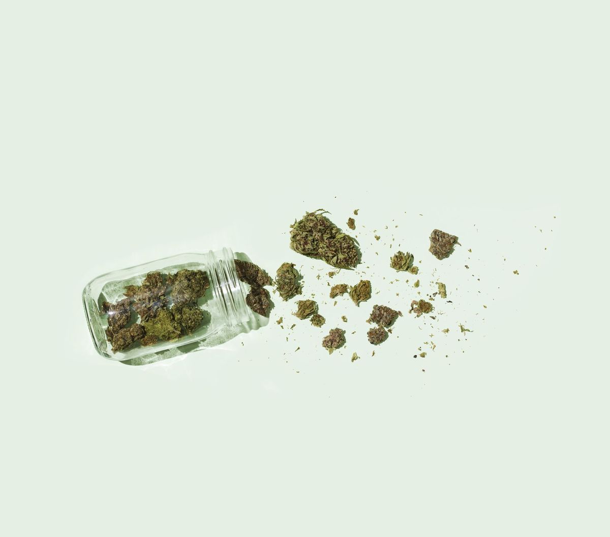 La marihuana se derramó sobre un fondo verde espuma de mar.