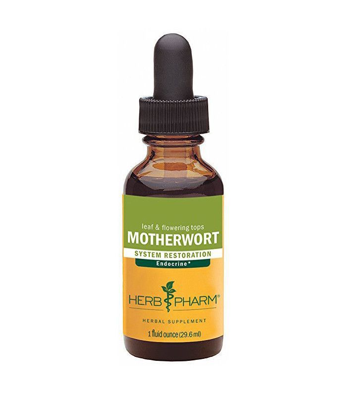 Motherwort - Holistiske urtemedicin