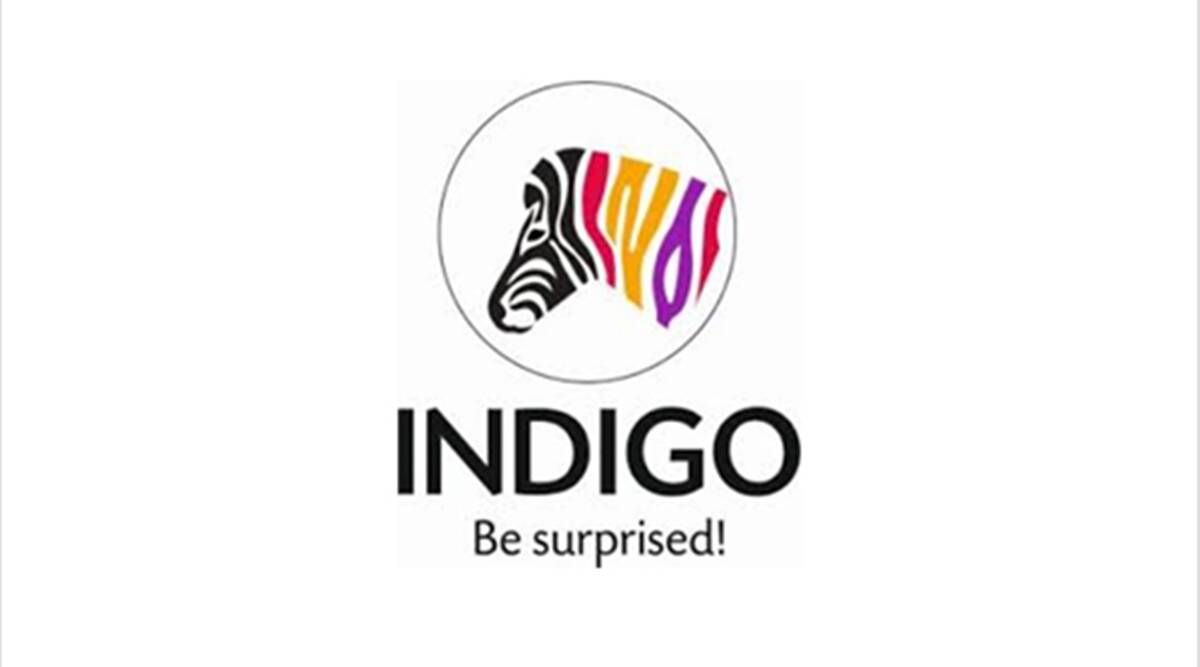 Indigo Paints IPO overtegnet innen timer den første dagen: Alt du trenger å vite