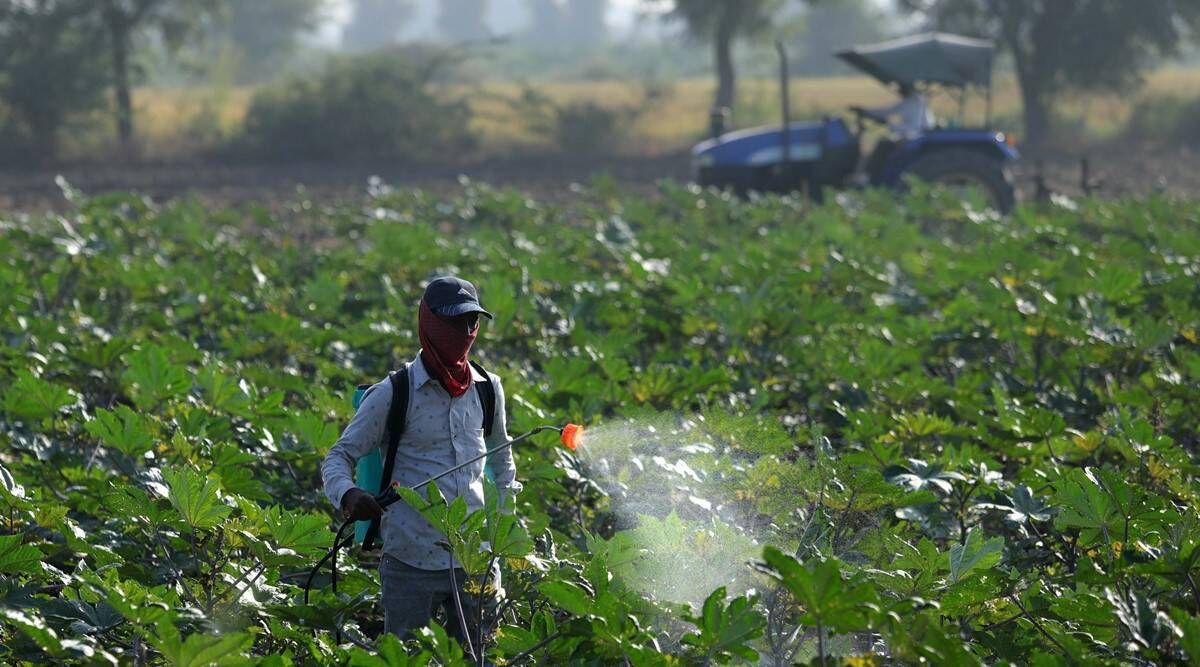 Статус распределения IPO India Pesticides: вот как проверить свои акции