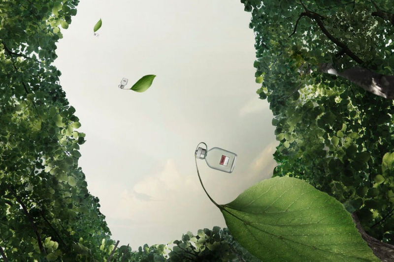 Grønne dufte: Hugo lancerer 'One Fragrance, One Tree'