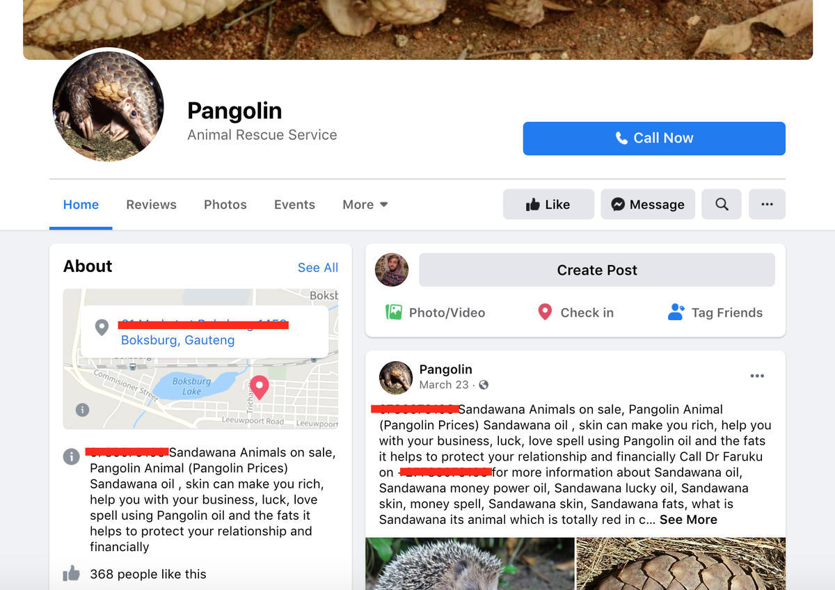 סוחרי חיות בר מקימות גני חיות מזויפים בפייסבוק למכירת קשקשי פנגולין בסכנת הכחדה