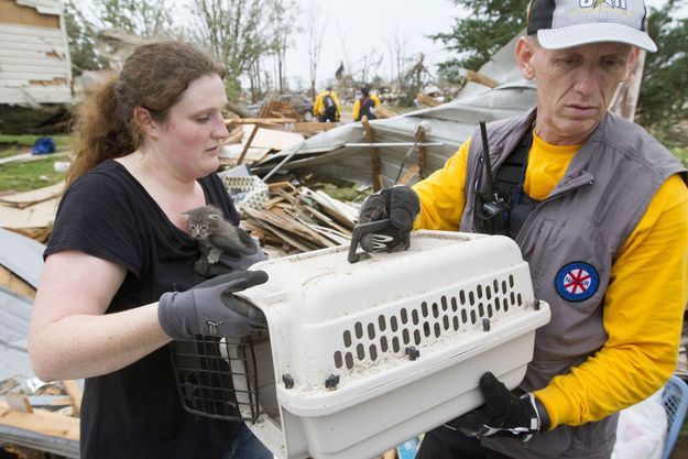 Povești în mișcare ale victimelor tornadei din Oklahoma care își găsesc animalele de companie în mijlocul distrugerii