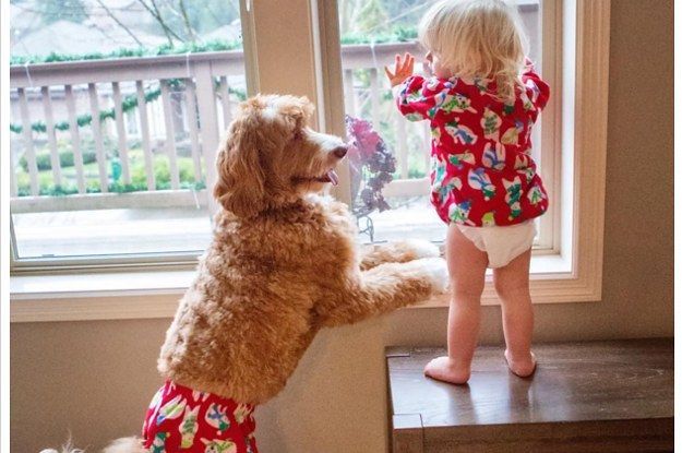 Ovaj pas i malo dijete vole se toliko da nose odgovarajuću odjeću