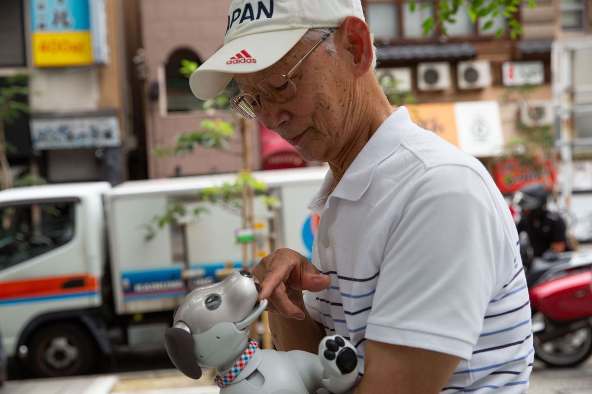 אייבו: אנשים ביפן לומדים לאהוב את כלבי הרובוט שלהם - ולהיות אהובים בחזרה
