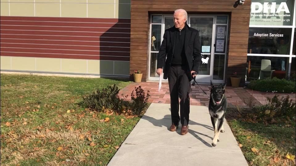 סגן הנשיא לשעבר ג'ו ביידן אימץ כלב הצלה בשם מייג'ור