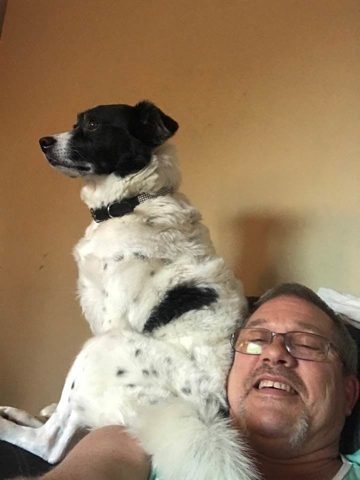 האיש הזה הקים קבוצת פייסבוק שבנתה קהילה לנהגי UPS לחלוק כלבים שהם נפגשים במסלולים