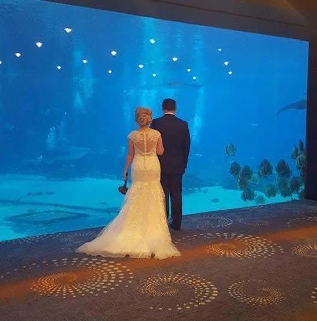 这对夫妇在被鲨鱼和鱼包围的水下结婚