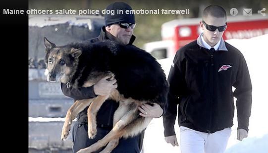 Maine-Beamte verabschieden sich mit einem letzten Gruß vom geliebten Polizeihund, Escort