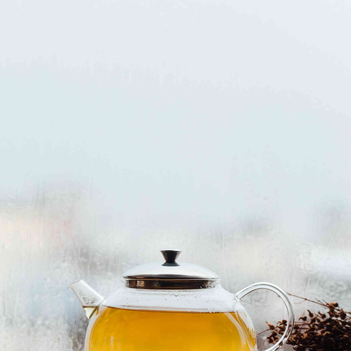 Grøn te med gentian urt