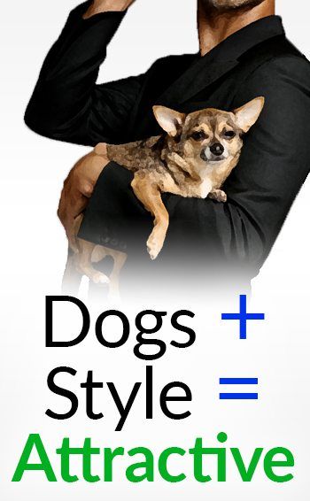 Chiens = plus attrayants? | 4 études qui prouvent pourquoi les hommes devraient posséder un chien