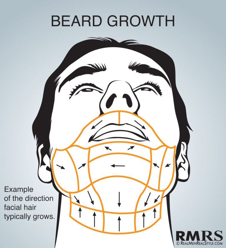 Infografía de mapas de afeitado | Cómo afeitarse correctamente | ¿En qué dirección te afeitas la cara? | Crecimiento del cabello y ruta de la cuchilla