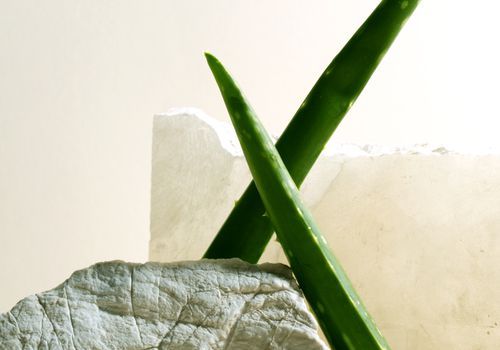 Was Hautexperten wirklich über Aloe Vera für Ihre Haut denken
